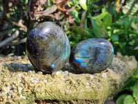 Polished Labradorite Palm Stones x 12 From Tulear, Madagascar - Toprock Gemstones and Minerals