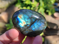 Polished Labradorite Palm Stones x 12 From Tulear, Madagascar - Toprock Gemstones and Minerals