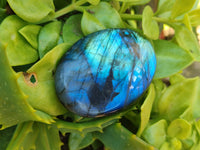 Polished Labradorite Palm Stones x 12 From Tulear, Madagascar - Toprock Gemstones and Minerals