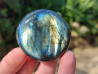 Polished Labradorite Palm Stones x 12 From Tulear, Madagascar - Toprock Gemstones and Minerals