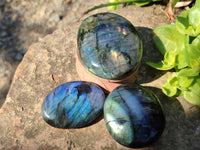 Polished Labradorite Palm Stones x 12 From Tulear, Madagascar - Toprock Gemstones and Minerals
