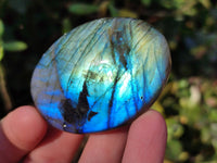 Polished Labradorite Palm Stones x 12 From Tulear, Madagascar - Toprock Gemstones and Minerals