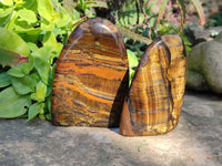 Polished Tigers Eye Standing Free Forms x 3 From South Africa - Toprock Gemstones and Minerals