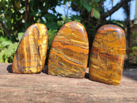 Polished Tigers Eye Standing Free Forms x 3 From South Africa - Toprock Gemstones and Minerals