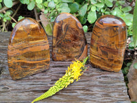 Polished Tigers Eye Standing Free Forms x 3 From South Africa - Toprock Gemstones and Minerals