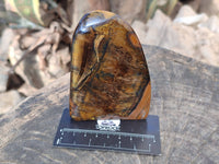 Polished Tigers Eye Standing Free Forms x 3 From South Africa - Toprock Gemstones and Minerals