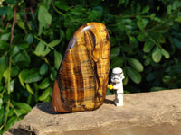 Polished Tigers Eye Standing Free Forms x 3 From South Africa - Toprock Gemstones and Minerals