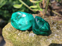 Polished Flower Banded Malachite Free Forms x 35 From Congo - Toprock Gemstones and Minerals