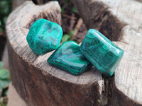Polished Flower Banded Malachite Free Forms x 35 From Congo - Toprock Gemstones and Minerals