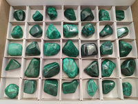 Polished Flower Banded Malachite Free Forms x 35 From Congo - Toprock Gemstones and Minerals