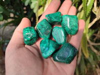 Polished Flower Banded Malachite Free Forms x 35 From Congo - Toprock Gemstones and Minerals