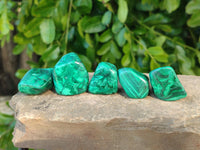 Polished Flower Banded Malachite Free Forms x 35 From Congo - Toprock Gemstones and Minerals
