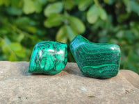 Polished Flower Banded Malachite Free Forms x 35 From Congo - Toprock Gemstones and Minerals