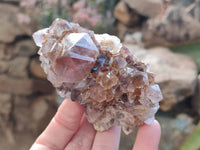 Natural Amethyst Spirit Quartz Clusters x 6 From South Africa - Toprock Gemstones and Minerals