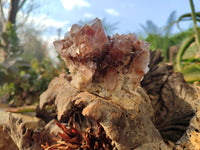 Natural Amethyst Spirit Quartz Clusters x 6 From South Africa - Toprock Gemstones and Minerals