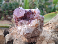 Natural Amethyst Spirit Quartz Clusters x 6 From South Africa - Toprock Gemstones and Minerals