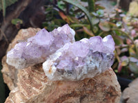 Natural Amethyst Spirit Quartz Clusters x 6 From South Africa - Toprock Gemstones and Minerals