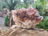 Natural Amethyst Spirit Quartz Clusters x 6 From South Africa - Toprock Gemstones and Minerals