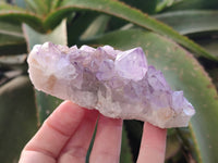 Natural Amethyst Spirit Quartz Clusters x 6 From South Africa - Toprock Gemstones and Minerals
