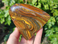 Polished Tigers Eye Standing Free Forms x 3 From South Africa - Toprock Gemstones and Minerals