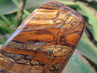 Polished Tigers Eye Standing Free Forms x 3 From South Africa - Toprock Gemstones and Minerals