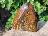 Polished Tigers Eye Standing Free Forms x 3 From South Africa - Toprock Gemstones and Minerals