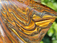 Polished Tigers Eye Standing Free Forms x 3 From South Africa - Toprock Gemstones and Minerals