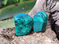 Polished Flower Banded Malachite Free Forms x 35 From Congo - Toprock Gemstones and Minerals