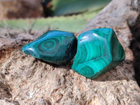 Polished Flower Banded Malachite Free Forms x 35 From Congo - Toprock Gemstones and Minerals