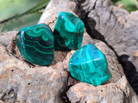 Polished Flower Banded Malachite Free Forms x 35 From Congo - Toprock Gemstones and Minerals