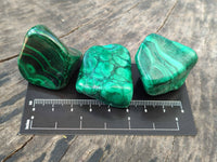 Polished Flower Banded Malachite Free Forms x 35 From Congo - Toprock Gemstones and Minerals