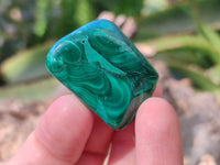 Polished Flower Banded Malachite Free Forms x 35 From Congo - Toprock Gemstones and Minerals