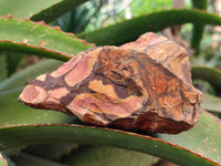 Natural Selected Nguni Jasper Cobbed Specimens x 12 From Prieska, South Africa - Toprock Gemstones and Minerals