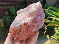 Natural Pink Rose Quartz Cobbed Specimens x 7 From North Cape, South Africa - Toprock Gemstones and Minerals