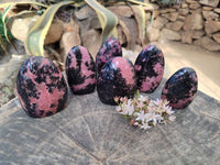 Polished Rhodonite Standing Free Forms x 6 From Madagascar - Toprock Gemstones and Minerals