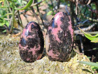 Polished Rhodonite Standing Free Forms x 6 From Madagascar - Toprock Gemstones and Minerals
