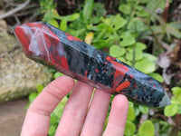 Polished Double Terminated Bloodstone Points x 6 From Swaziland - Toprock Gemstones and Minerals