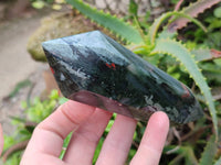 Polished Double Terminated Bloodstone Points x 6 From Swaziland - Toprock Gemstones and Minerals