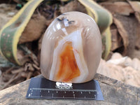 Polished Agate Standing Free Forms x 4 From Madagascar - Toprock Gemstones and Minerals