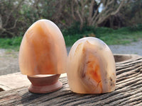 Polished Agate Standing Free Forms x 4 From Madagascar - Toprock Gemstones and Minerals