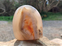 Polished Agate Standing Free Forms x 4 From Madagascar - Toprock Gemstones and Minerals