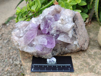 Natural Jacaranda Amethyst Geode x 1 From Zambia - Toprock Gemstones and Minerals