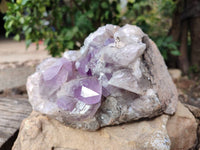 Natural Jacaranda Amethyst Geode x 1 From Zambia - Toprock Gemstones and Minerals