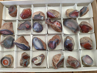 Polished On One Side Red Sashe River Agate Nodules x 24 From Zimbabwe - Toprock Gemstones and Minerals