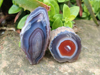 Polished On One Side Red Sashe River Agate Nodules x 24 From Zimbabwe - Toprock Gemstones and Minerals