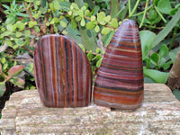 Polished Banded Tiger Iron Standing Free Forms x 3 From South Africa - Toprock Gemstones and Minerals