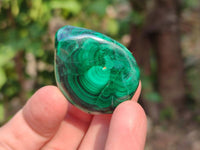 Polished Flower Malachite Free Forms x 35 From Congo - Toprock Gemstones and Minerals