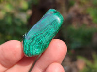 Polished Flower Malachite Free Forms x 35 From Congo - Toprock Gemstones and Minerals