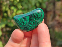 Polished Flower Malachite Free Forms x 35 From Congo - Toprock Gemstones and Minerals