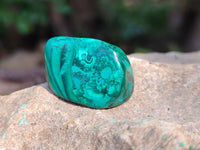 Polished Flower Malachite Free Forms x 35 From Congo - Toprock Gemstones and Minerals